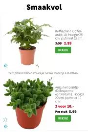 Intratuin folder week 5 Pagina 6