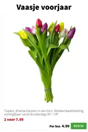 Intratuin folder week 5 Pagina 7