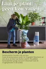 Intratuin folder week 5 Pagina 8