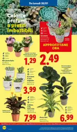 Volantino Lidl settimana 4 Pagina 38