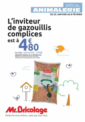 Catalogue Mr Bricolage (valable jusqu'au 8-02)