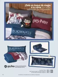 Catálogo Vianney Página 32