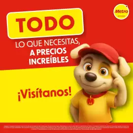 Catálogo Metro Página 5