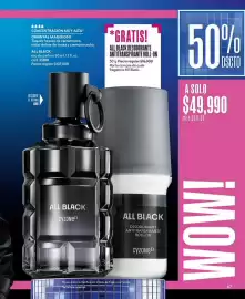 Catálogo Cyzone Página 87