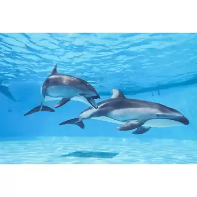 Catálogo Nikon (válido hasta 29-01)