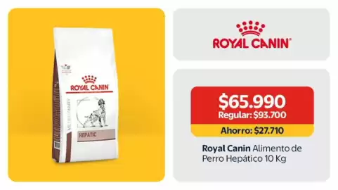 Catálogo Lider semana 4 Página 13