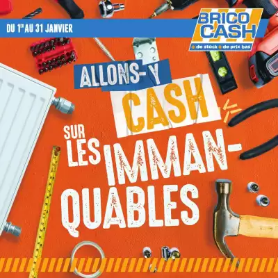 Catalogue Brico Cash (valable jusqu'au 31-01)