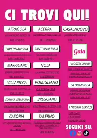 Volantino Sanitaria Gaia Pagina 11