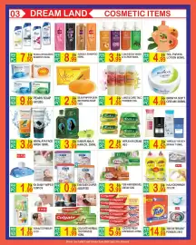 Dream Land Center catalogue Page 3