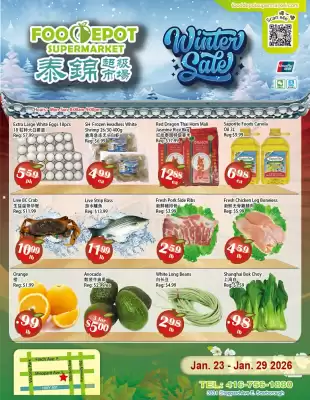 Food Depot Supermarket flyer (valid until 29-01)