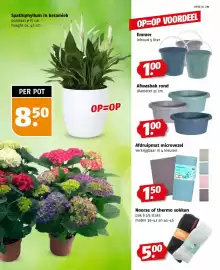 Poiesz folder week 5 Pagina 35