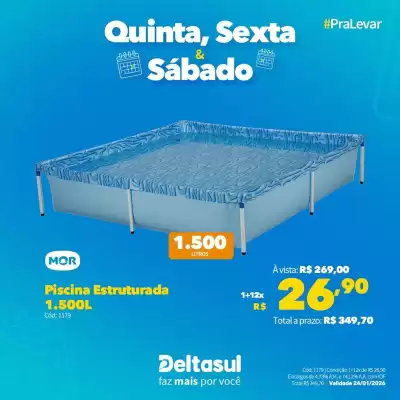 Folheto Deltasul (válido até 24-01)