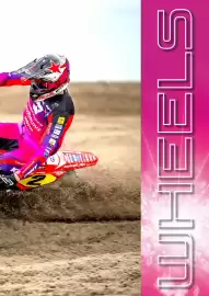 Catalogue Bihr page 98