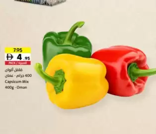 Sharjah Co-op catalogue Page 2