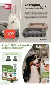 Tom&Co folder Pagina 6