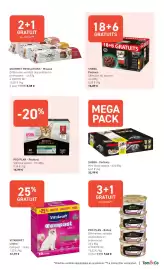 Tom&Co folder Pagina 7