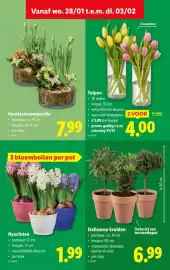 Lidl folder week 5 Pagina 46