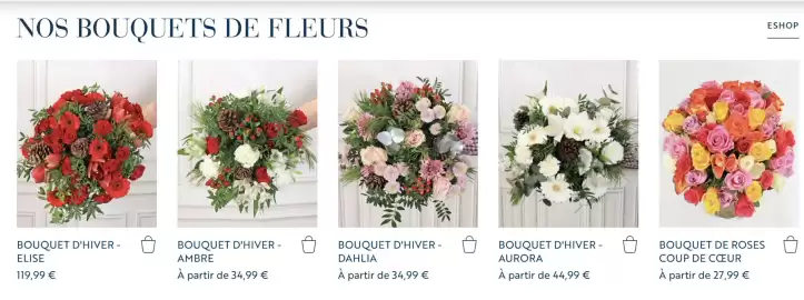 Catalogue Monceau Fleurs page 1