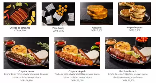 Catálogo Chopinar Página 2