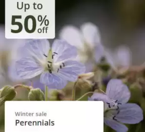 Crocus leaflet Page 2