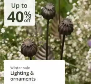 Crocus leaflet Page 5