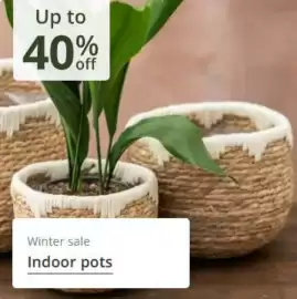 Crocus leaflet Page 8