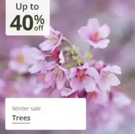 Crocus leaflet Page 9