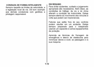 Catálogo Suzuki Motos Página 21