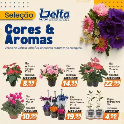Catálogo Delta Supermercados (válido até 29-01)