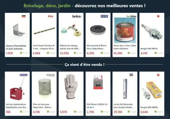 Catalogue Brico (valable jusqu'au 8-02)