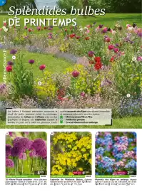 Catalogue Willemse France page 10