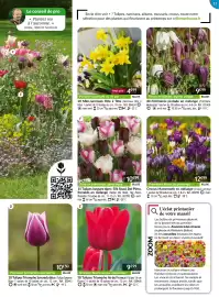 Catalogue Willemse France page 11