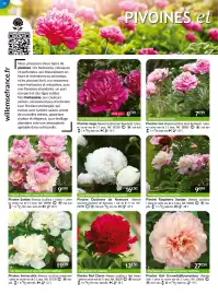 Catalogue Willemse France page 12