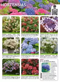 Catalogue Willemse France page 13