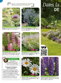 Catalogue Willemse France page 14