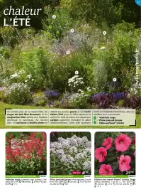 Catalogue Willemse France page 15