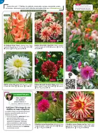 Catalogue Willemse France page 16