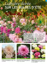 Catalogue Willemse France page 17