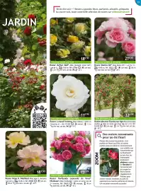 Catalogue Willemse France page 19