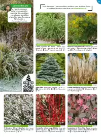 Catalogue Willemse France page 25