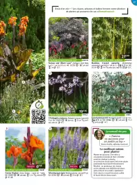 Catalogue Willemse France page 27