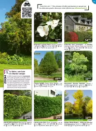 Catalogue Willemse France page 29