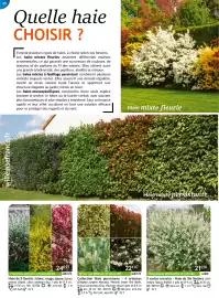 Catalogue Willemse France page 30