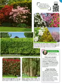 Catalogue Willemse France page 31