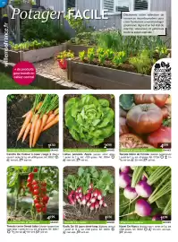 Catalogue Willemse France page 32