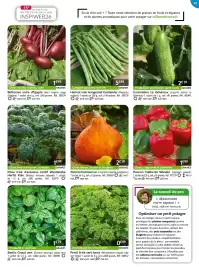 Catalogue Willemse France page 33