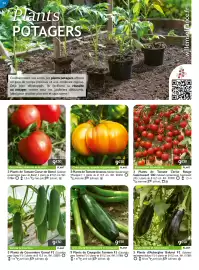 Catalogue Willemse France page 34