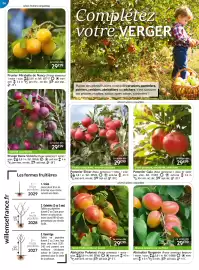 Catalogue Willemse France page 36