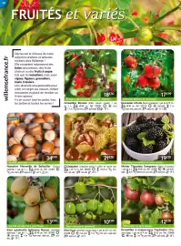 Catalogue Willemse France page 38