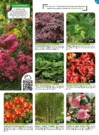 Catalogue Willemse France page 41